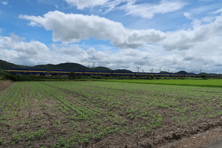 景色還是很漂亮的。