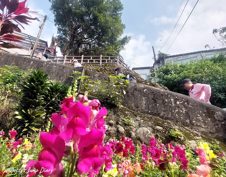 ▲桃園大溪碼頭石板古道/圖片來源：Betty's Jump Diary
