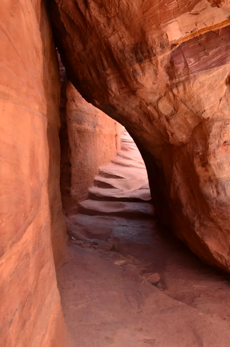 岩石上的美麗花紋