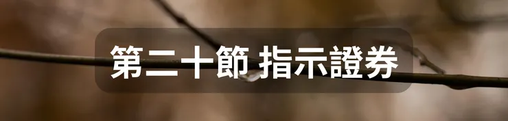 第二十節 指示證券