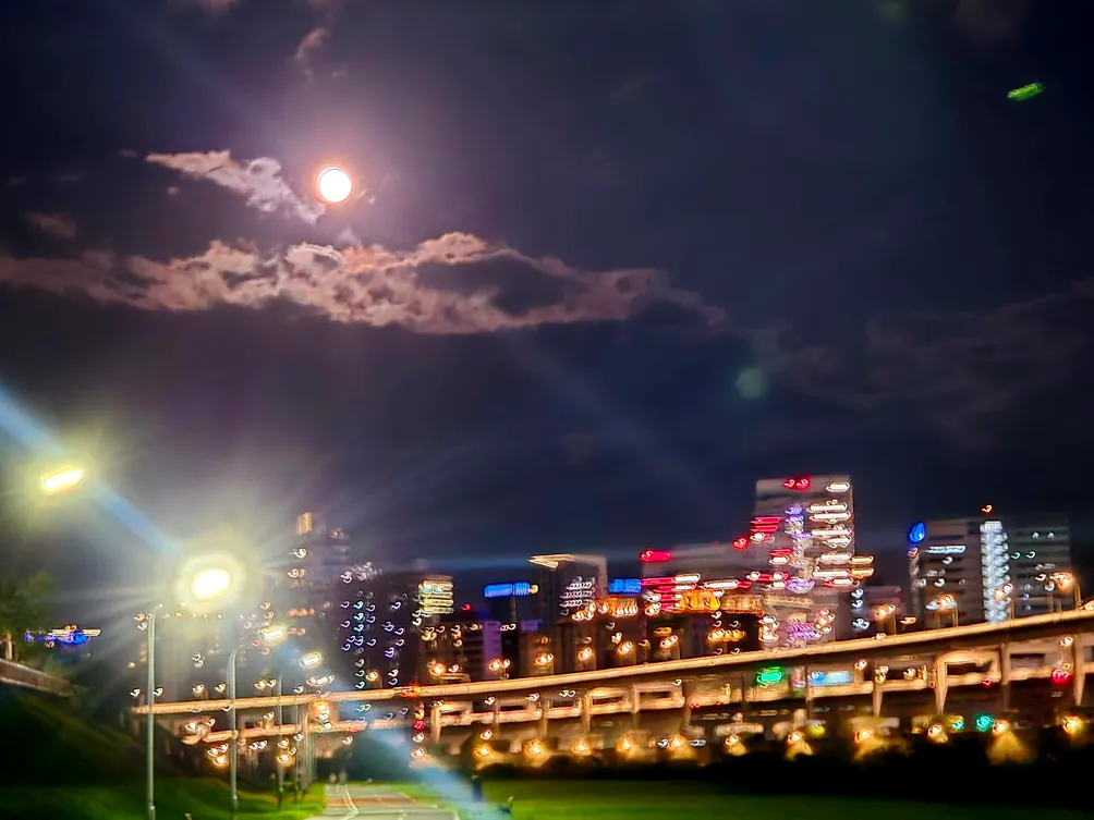 睡不著圖書館的沙龍