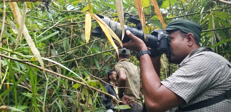 即使看了許多次，導游看到貓頭鷹還是想多拍照，貓頭鷹的力量真大