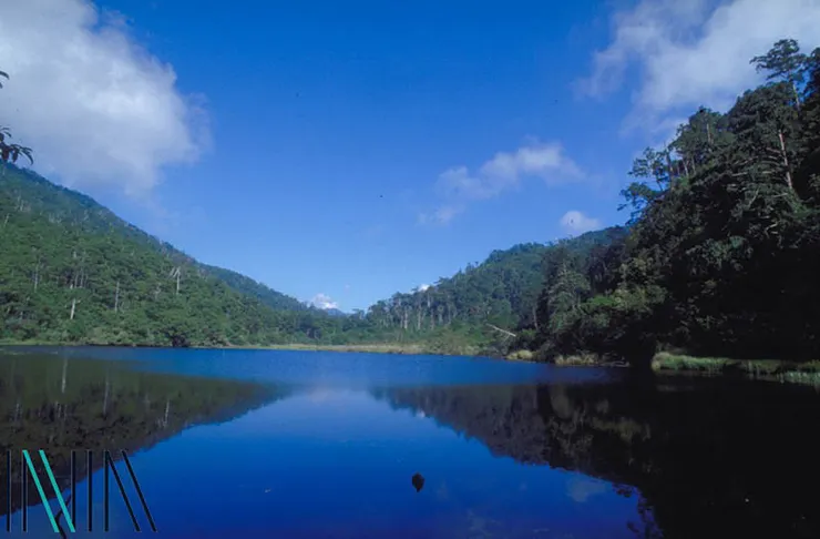 圖13 夢幻湖水韭保護區 案名：臺灣植物、合歡山 檔號：0084/S5/1 來源機關：行政院新聞局 管有機關：國家發展委員會檔案管理局
