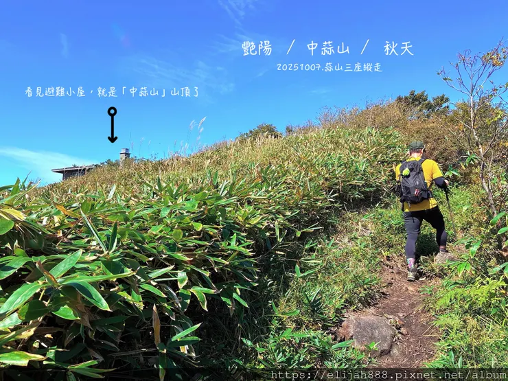 【2025初秋.岡山県真庭市】蒜山三座縱走/下蒜山(海拔11
