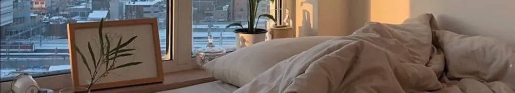 有貓跟著我的沙龍