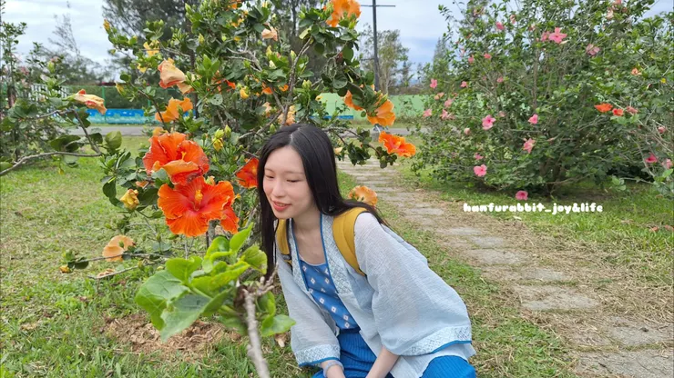 藍色新中式+橘色朱槿的撞色搭配～