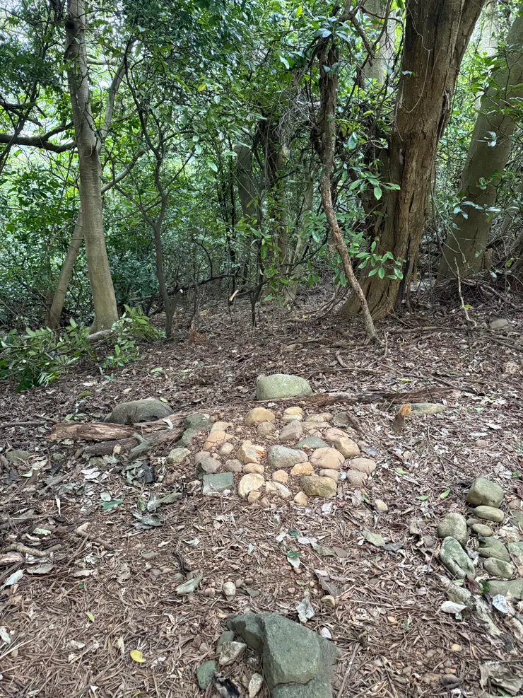 2025/11/09 砍樹後的樣子