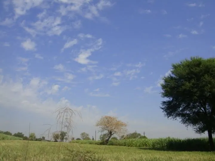 當時郊外天空很藍，只是我相機畫素很差