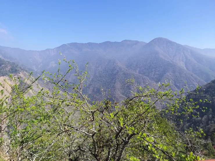 南橫路段上折返