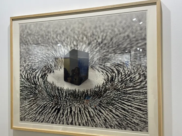  Ahmed Mater 的 《Magnetism IV》