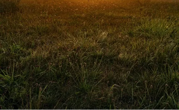 Pexels 上由 Mohamed B. 拍攝的相片