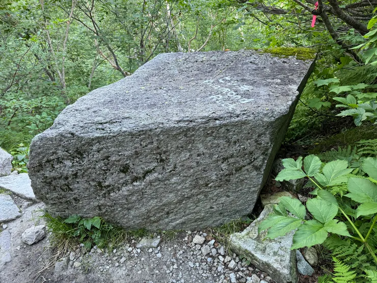 這塊石頭去年沒注意到。日文叫別針岩，英文寫鑽石岩。