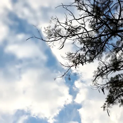 喜歡大自然景色的人請舉手！