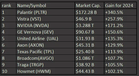2024年美國五百大公司漲幅前十名公司