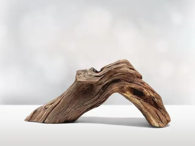 圖片來自Pinterest