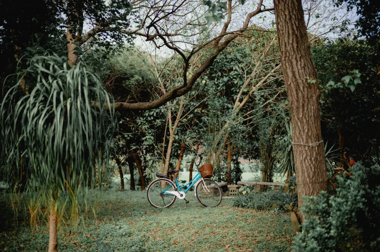 儘管今天是上班日，還是有許多人來騎腳踏車，是不是在提醒我該運動了？