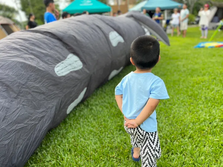 小朋友高興的觀望風箏