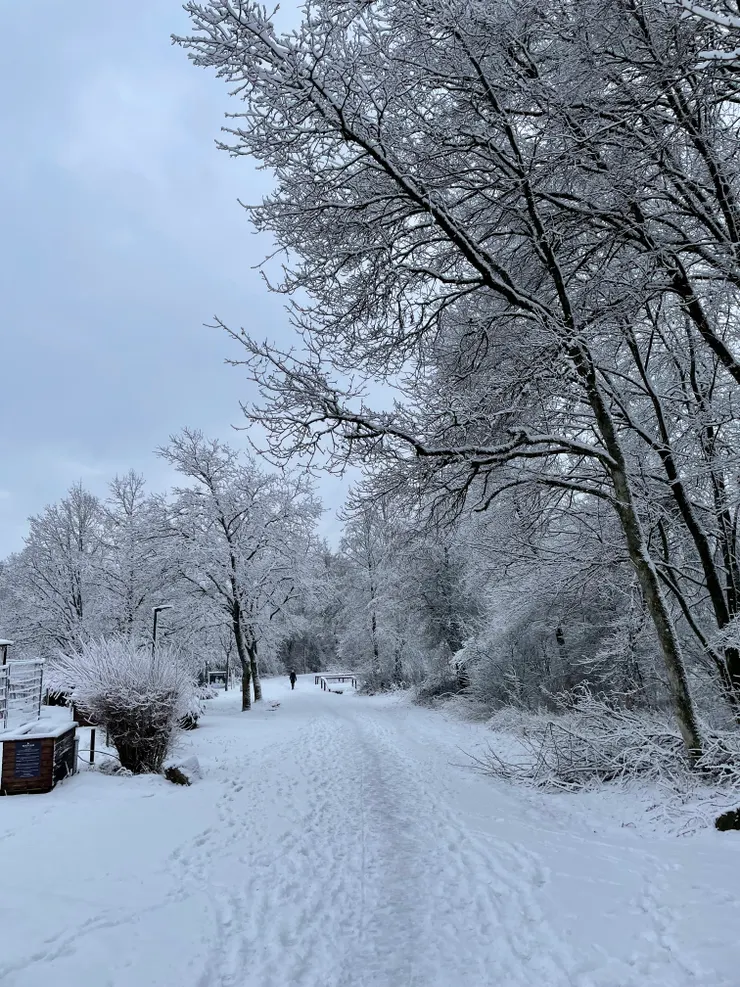 小鎮附近的步道，踩在鬆軟的雪中前行，別有一番風味。前提是雪不要進到靴子裡。
