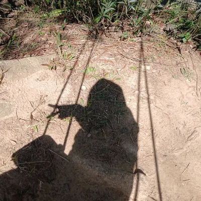 希望明天是晴天