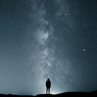 棄野孤狼的沙龍