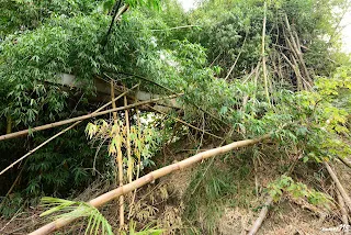 旱知溪橋新港端橋台