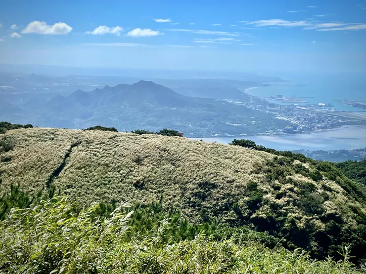 從面天山看剛剛走過的向天山,🈵️山頭芒草好美,後方小山為八里的觀音山