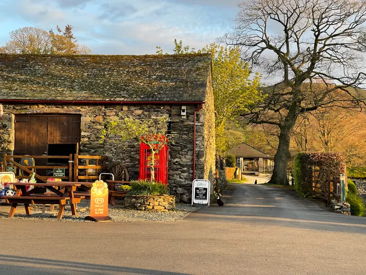 金黃色夕陽灑在整個營地上,真美!