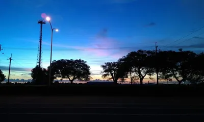 夏久生的韭菜時間