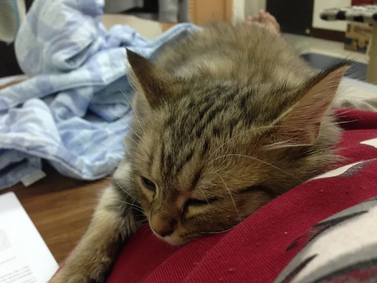 拍攝於 2015/10/12