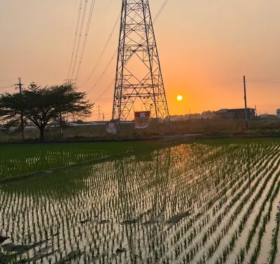 九霄雲外的沙龍