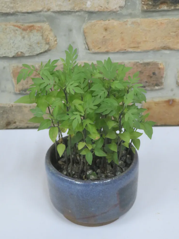 淡水社大112.10.03