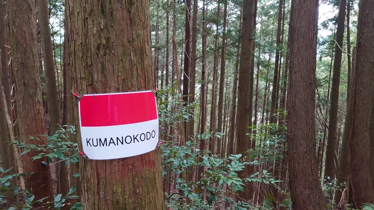 我的理解，這英文的標示是紅+白色的理由，跟歐洲（美國不知）的山徑噴漆顏色，是相呼應的。不知是否當真如此就是了。