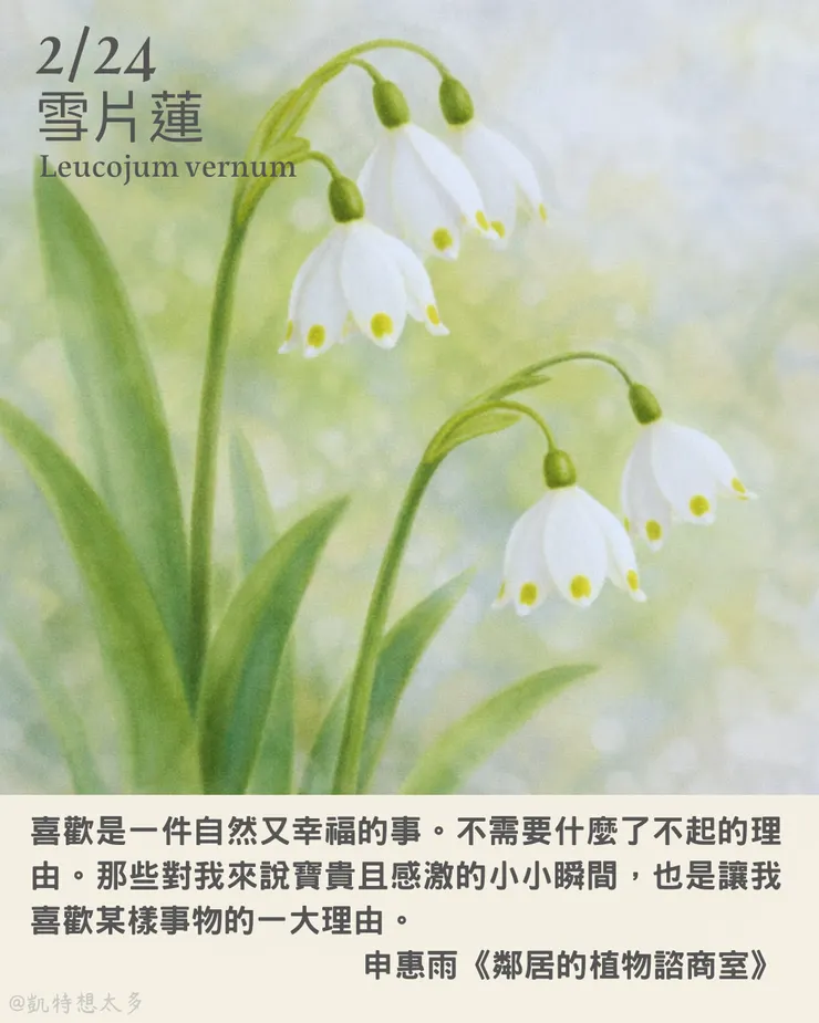 2 月 24日｜雪片蓮×申惠雨《鄰居的植物諮商室》