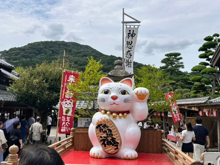 每年的9月29日是「來福招財貓節」(来る福招き猫まつり),取日語929的諧音「kurufuku」與「來福」相似