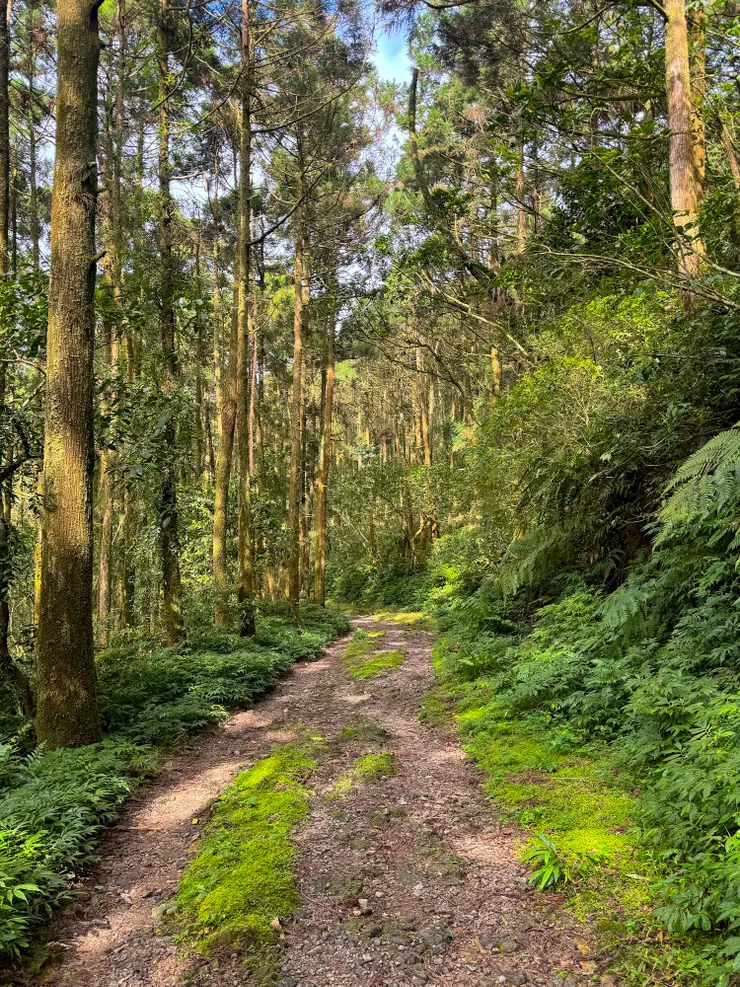 優美的坪溪古道