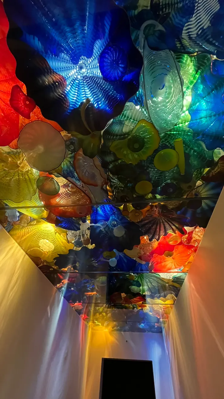 海底有各式珊瑚，好像也是這種光影感。