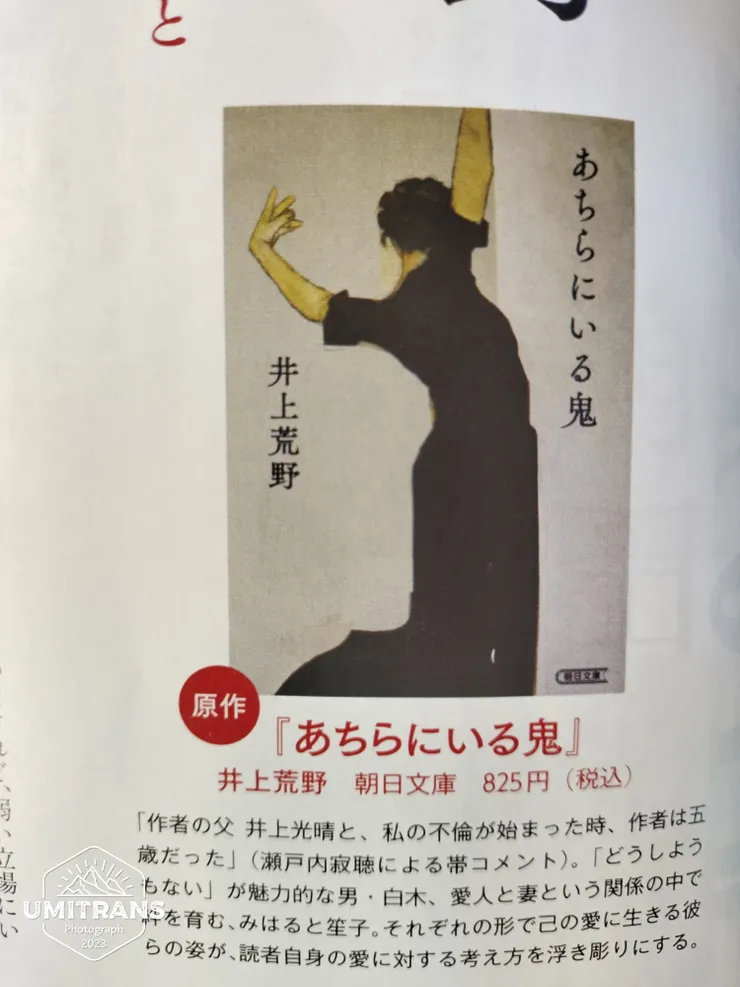 電影為瀨戶內寂聽的對象兒子寫下的小說「那邊的鬼」（あちらにいる鬼 暫譯）改編