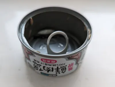 貓咪不喜歡有湯水的罐罐嗎？