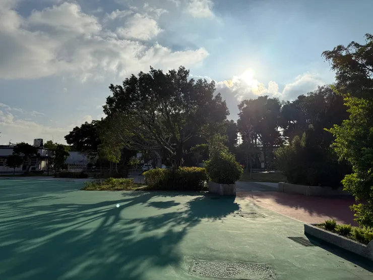 2025/12/20 小時候玩棒球的地方