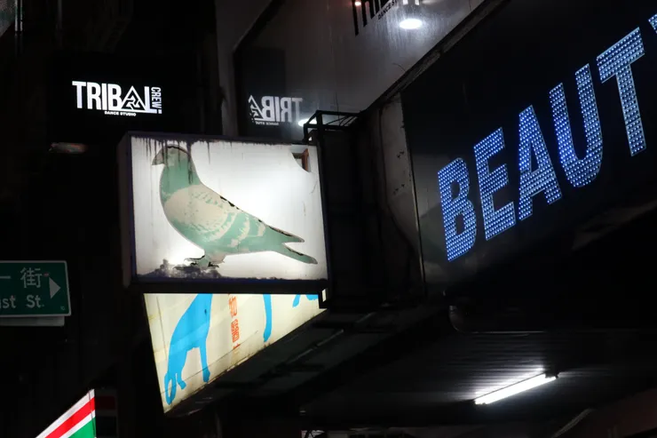 獸醫的側面招牌用鴿子圖案，一定有幫鳥看診