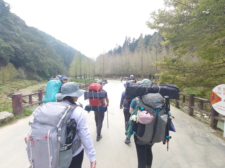 原先以為前面的樹林是落羽松，看了解說牌得知是水杉