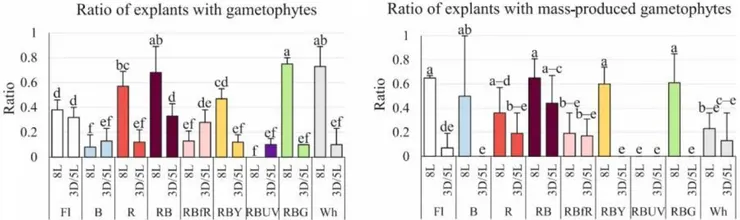菌柄外植體孢子體和配子體生產的效率