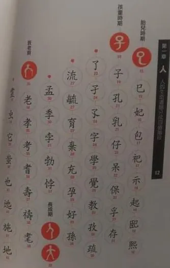 不同年齡的「人」有不同字根，衍生出更多文字