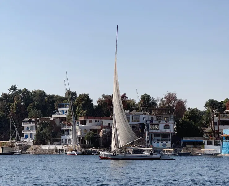 有著巨大風帆的船