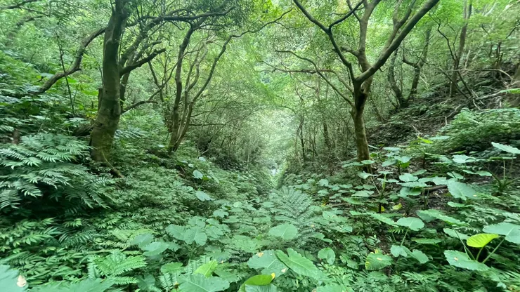 深不見底的山谷