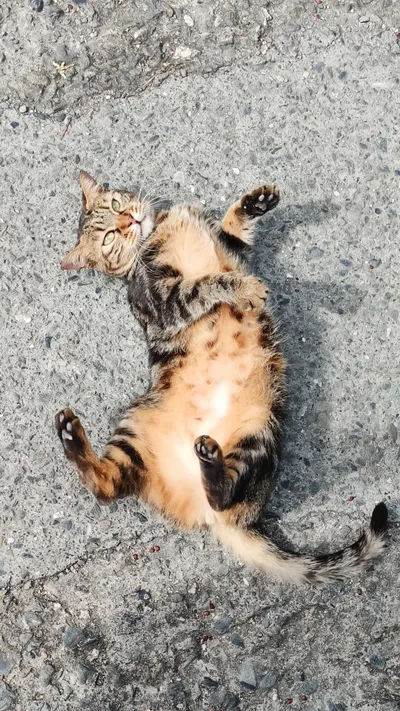 你的歌單有循環週期嗎?