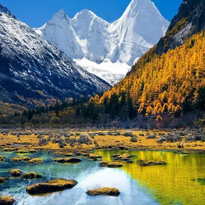 Lx Modumita的沙龍