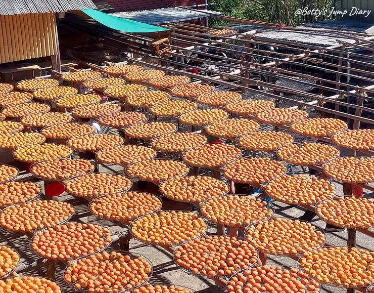 ▲味衛佳柿餅教育農園/ 圖片來源：Betty's Jump Diary