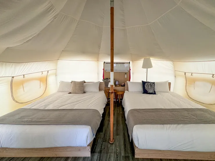 蟬說：夕陽漫漫 220