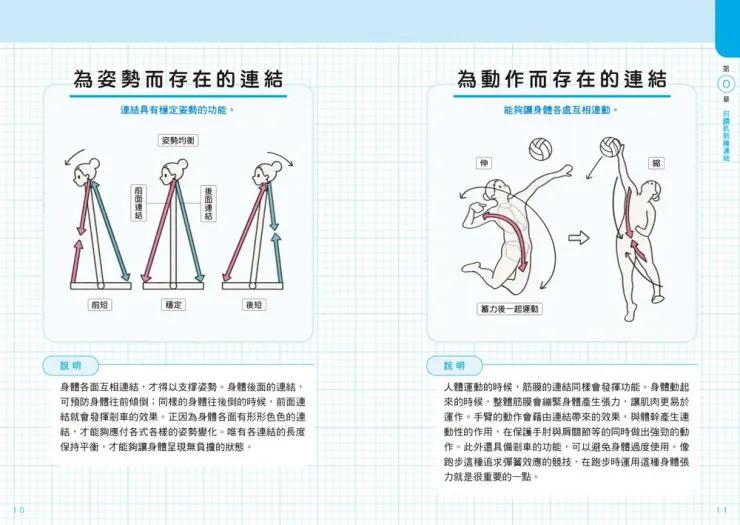 超圖解！人體肌筋膜連結與修復 (圖擷取自：誠品線上)